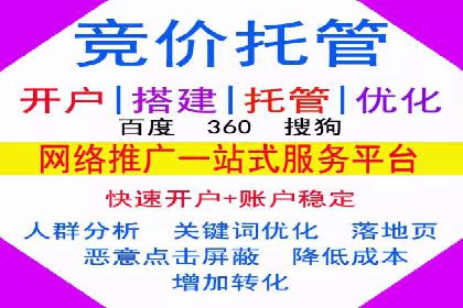 SEM竞价推广案例：打造行业领先的广告投放策略